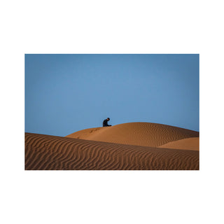 Whispers of the Dune